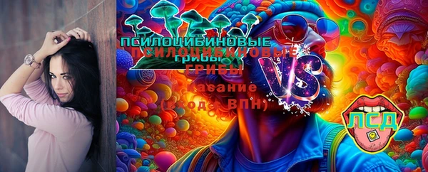 шишки Алзамай