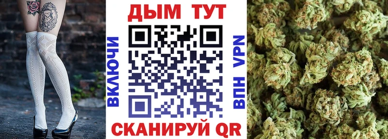Бошки Шишки семена сколько стоит Сельцо
